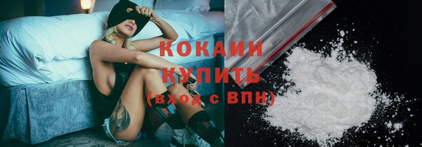 кокс Бородино