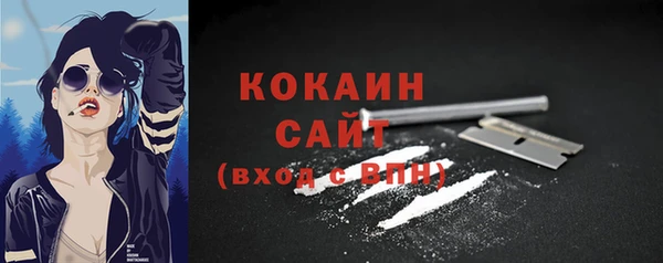 кокс Бородино