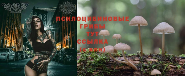 Альфа ПВП Бугульма